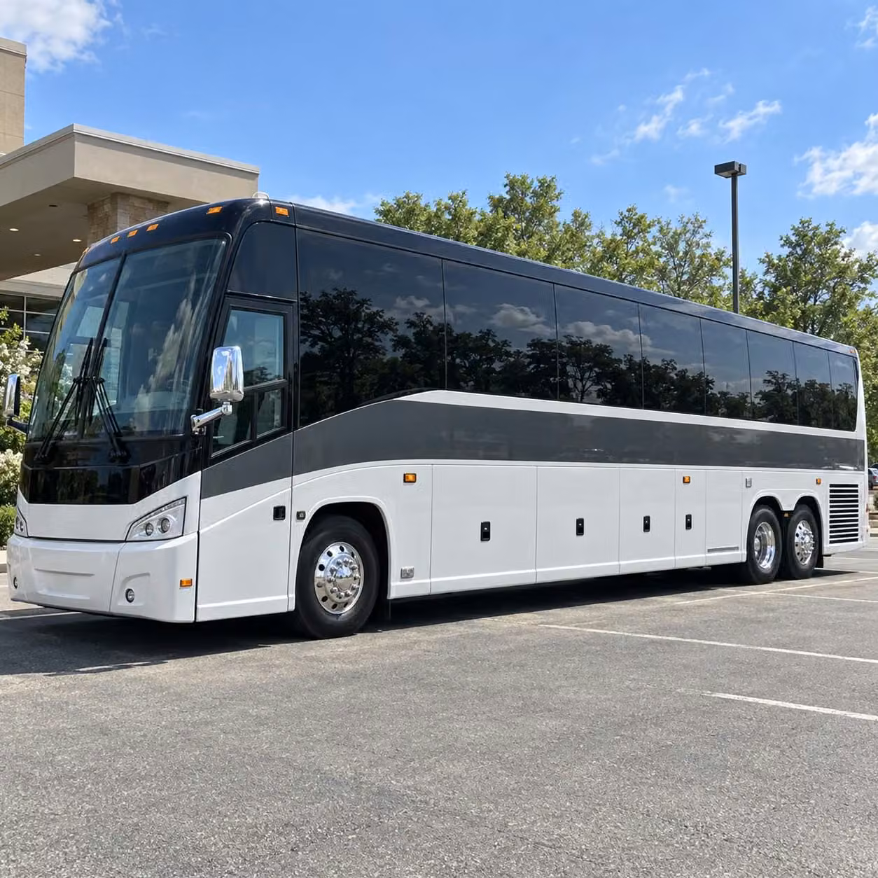 kirkland field trip buses to the zoo aquarium and nature destinations